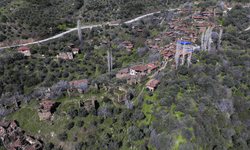 Efeler Yolu yörede turizm hareketliliği oluşturuyor