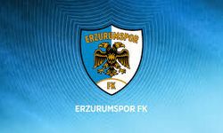 Erzurumspor FK Süper Lig'de