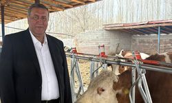 Gürer, süt ve süt ürünlerine gelen zamlarla artan fiyatlara dikkat çekti