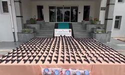 İstanbul ve Adana'da silah kaçakçılığı operasyonu: 5 şüpheli yakalandı