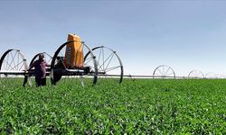 Kırsal Kalkınma Yatırım Programı 2026 başvuru dönemi başladı