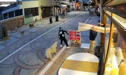 Başıboş köpek saldırısı kamerada! 19 yaşındaki genç yaralandı