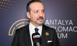 Kürşad Zorlu: Türkiye uluslararası diplomaside kilit aktör haline geldi