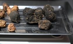 Bu iş için İtalya'dan Türkiye'ye geldi! Kilosunu 350 Euro'dan ihraç ediyor