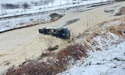 Muş'ta minibüs dereye uçtu! Çok sayıda yaralı var