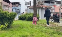 Parkta toplanan bitki faciaya yol açıyordu