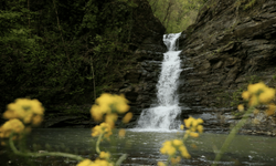 Samsun’da saklı cennet gün yüzüne çıktı: Kabaceviz Şelaleleri büyülüyor