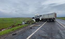 Şanlıurfa'da tır ile çarpışan hafif ticari araçtaki 2 kişi öldü