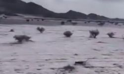 Suudi Arabistan’da çöller beyaza büründü