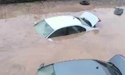 Siirt’te araçlar sel sularında kayboldu, onlarca hayvan telef oldu