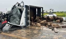Siirt’te otomobil ile kamyonet çarpıştı: 2 kişi öldü, 3 kişi yaralandı