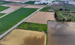 İzmir'de sağanak: Tarım arazileri sular altında