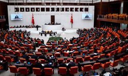 Doğum izni süresi artıyor: Teklif komisyonda kabul edildi