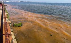 Tekirdağ'da denizin rengi değişti