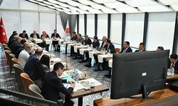 Türkiye-Ermenistan Ortak Çalışma Grubu toplandı