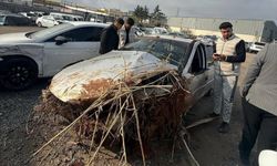 Şanlıurfa’da otomobil tarlaya uçtu! Sürücü hayatını kaybetti
