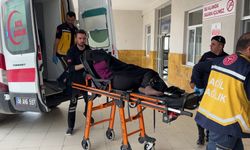 Sivas'ta 'İneğin bostanıma girdi'  tartışması cinayetle bitti