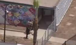 ABD’de San Diego İslam Merkezi’ne silahlı saldırı