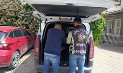 Sosyal medyadaki bu görüntü başını yaktı: Takip etti, ehliyetinden oldu