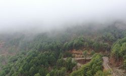 Çanakkale'de ormanlara girişler yasaklandı