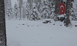 Mayıs ayında 60 santimetre kar yağdı