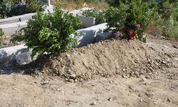 Hatay’da kan donduran olay! Cani baba, oğlunu boğarak öldürdükten sonra parçalara ayırdı