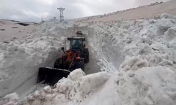 Şırnak’ta 7 aydır süren kar mesaisi: Tünellerle yol açılıyor