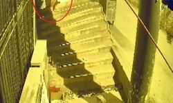 10 gündür aynı dükkanı soyuyor! Kılık değiştirdi ama kameralardan kaçamadı