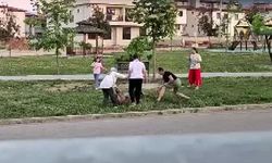 Parkta korku dolu anlar! Doktorun müdahalesi tartışma yarattı: Güvenlik kamerası görüntüleri ortaya çıktı