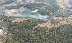 Milas'ta çıkan yangın kısa sürede kontrol altına alındı