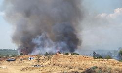 Antalya’daki orman yangını kontrol altına alındı