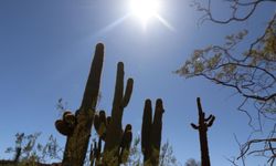 A Milli Takım'ın kamp yaptığı Arizona sıcağı ve doğasıyla öne çıkıyor