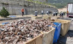 Seyir halindeki tırın dorsesi patladı, 15 ton balık atığı yola saçıldı