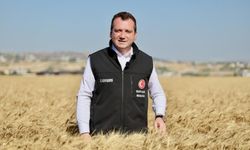 Silivri Belediyesine yolsuzluk operasyonu! Başkan Bora Balcıoğlu gözaltında