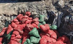 Soma'da bozuk 4 ton midye imha edildi
