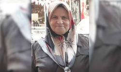 Edirne'de acı ölüm: Ot yangınının üzerine düşen kadın hayatını kaybetti