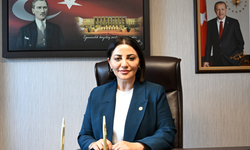 AK Parti'li Karslı, "süresiz nafaka düzenlemesinin iptali" kararını değerlendirdi