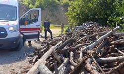 Dehşete düşüren olay! Eşini odunla döverek öldürdü