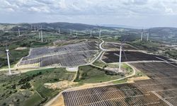 Türkiye, yenilenebilir enerjide dünyanın en iyileri arasında