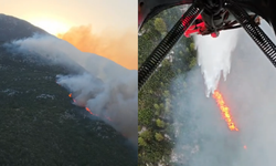 Antalya Kaş’ta orman yangını
