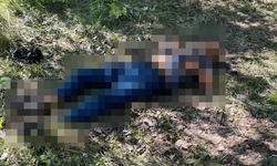 Ağaçlık alanda şüpheli ölüm