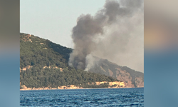 Büyükada'da plajda yangın paniği
