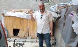 Kedi mamasını bile çaldı! Güvenlik kamerasına yakalandı
