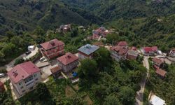 Karadeniz fıkrası gibi mahalle! Herkesin soyadı aynı