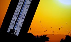 Türkiye'de sıcak hava dalgaları alarm veriyor! Son 75 yılın rekoru kırıldı