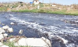 Tekirdağ'da çevreyi kirleten 22 işletmeye 14 milyon liralık ceza!