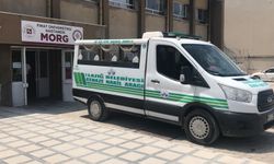 Elazığ’da korkunç olay! Ağıla kurt girdi sandı, eşini öldürdü