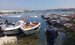 Yalova'da atık suları arıtmadan deşarj eden belediyeye 7,9 milyon lira ceza
