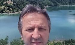 Domuz avında facia! Kuzenini yaban domuzu sanıp vurdu