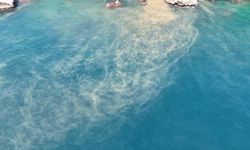 Antalya'da sahile ulaşan atık su görüntülerine soruşturma